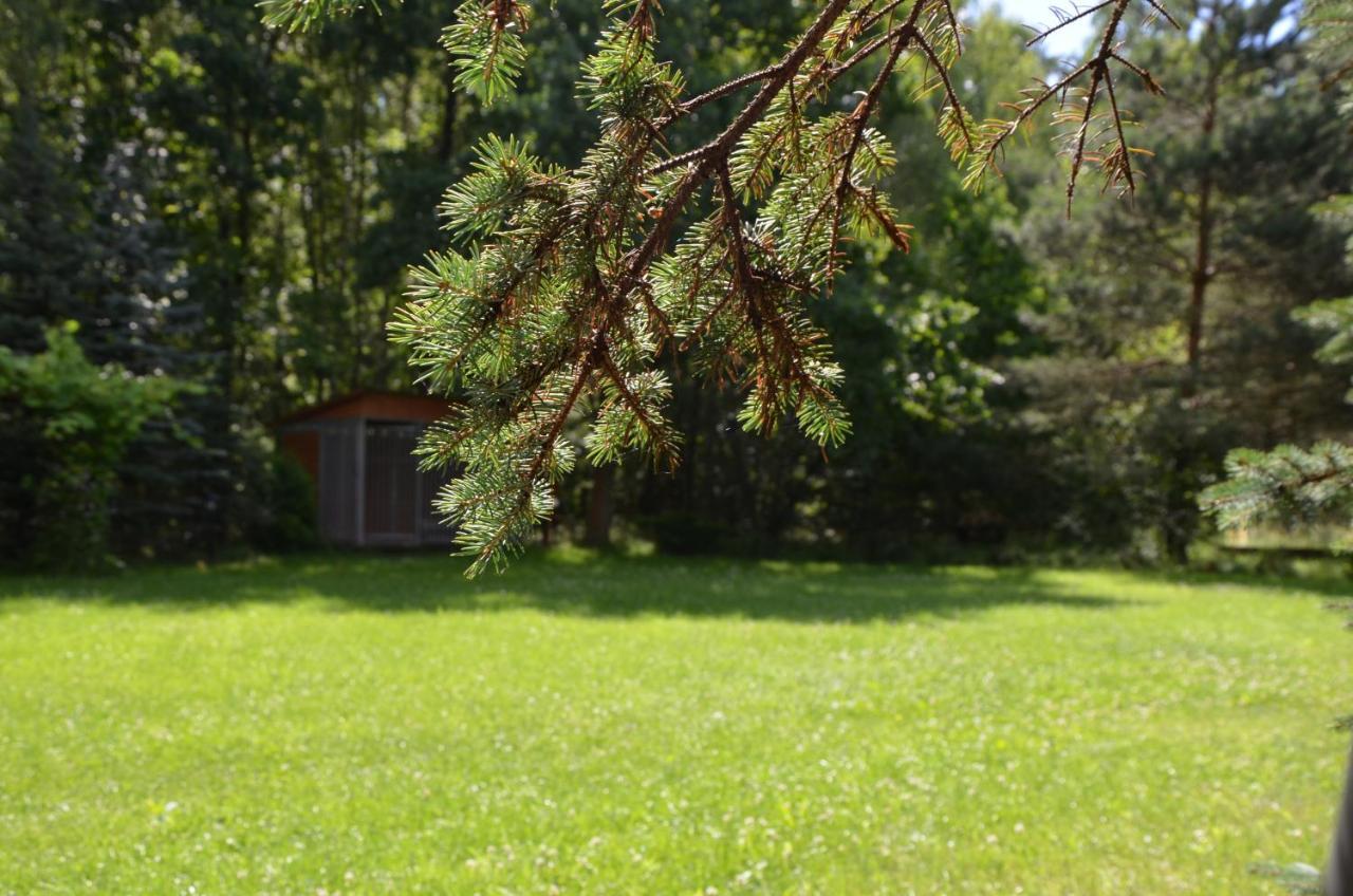 Agroturystyka Czekaj Przy Suntago Lublinow 외부 사진